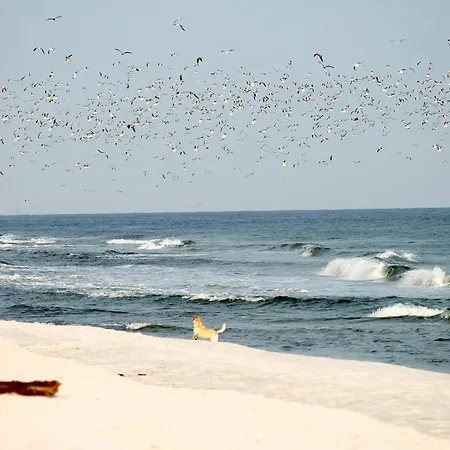 White Pearl 1.11 Timmendorfer Strand