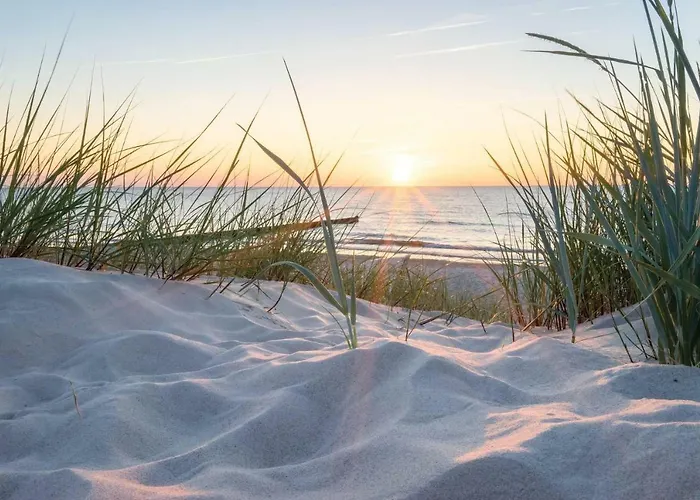 Apartment White Pearl 1.11