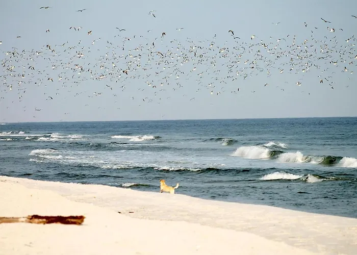 White Pearl 1.11 Timmendorfer Strand